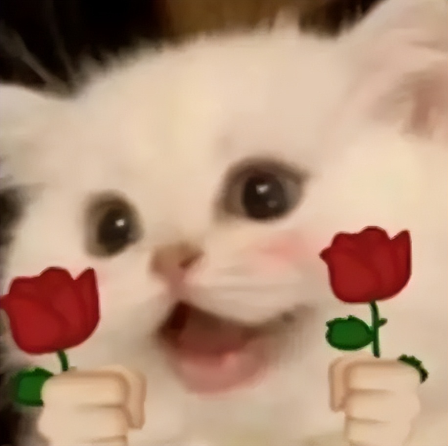 六月最后一周计划：填写“青春山东”实习招募报名表