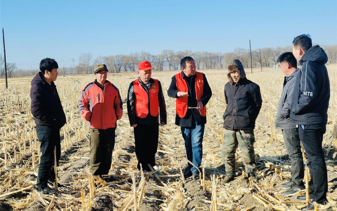 农技专家田间把脉问诊,把脉问诊农技专家支招农田夏管