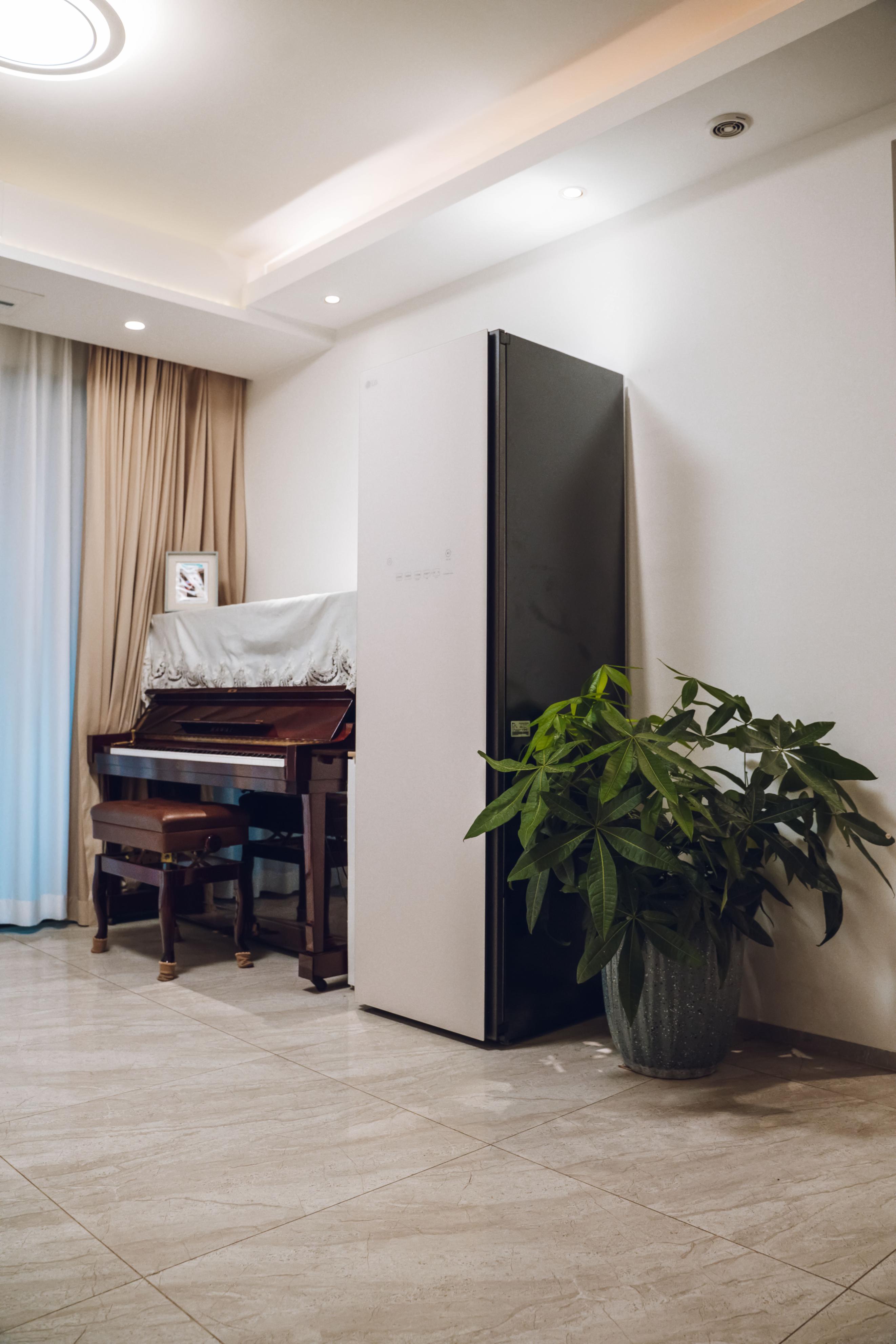 衣物护理机家用,家用衣物护理机品牌排名