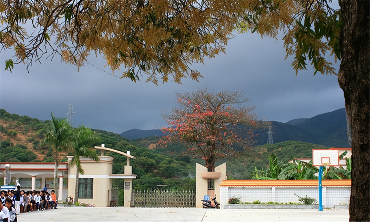 金华“纸尿裤大王”李志彪：辞职创业，53岁公司上市，身家125亿