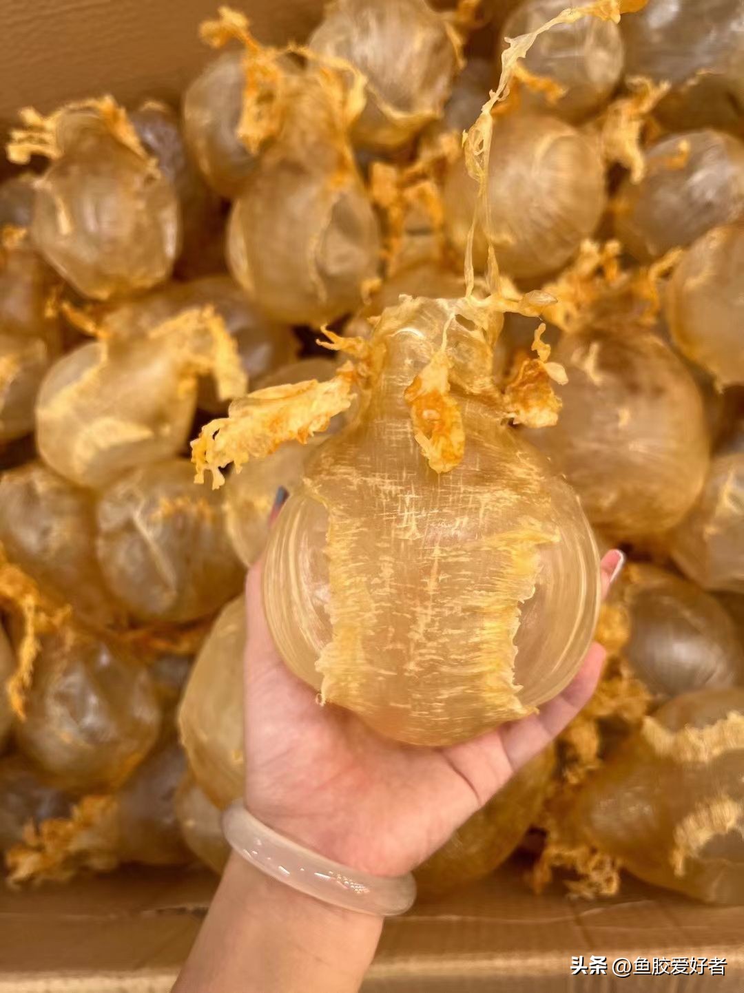 鱼胶是否智商税,鱼胶到底值不值得买