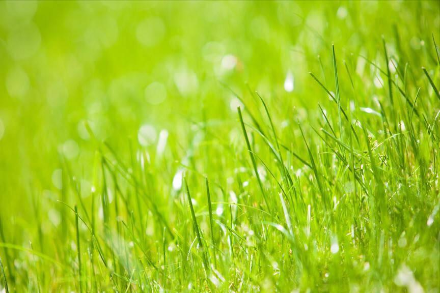 春天诗词最美十首,极美的十首春天诗词