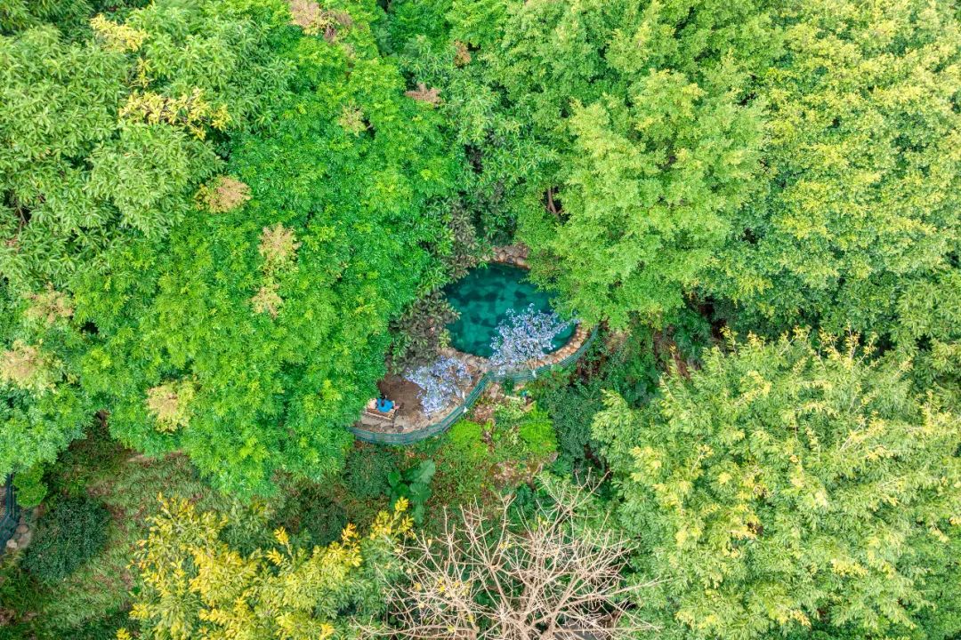 云南西部大峡谷泡温泉,云南原始森林温泉