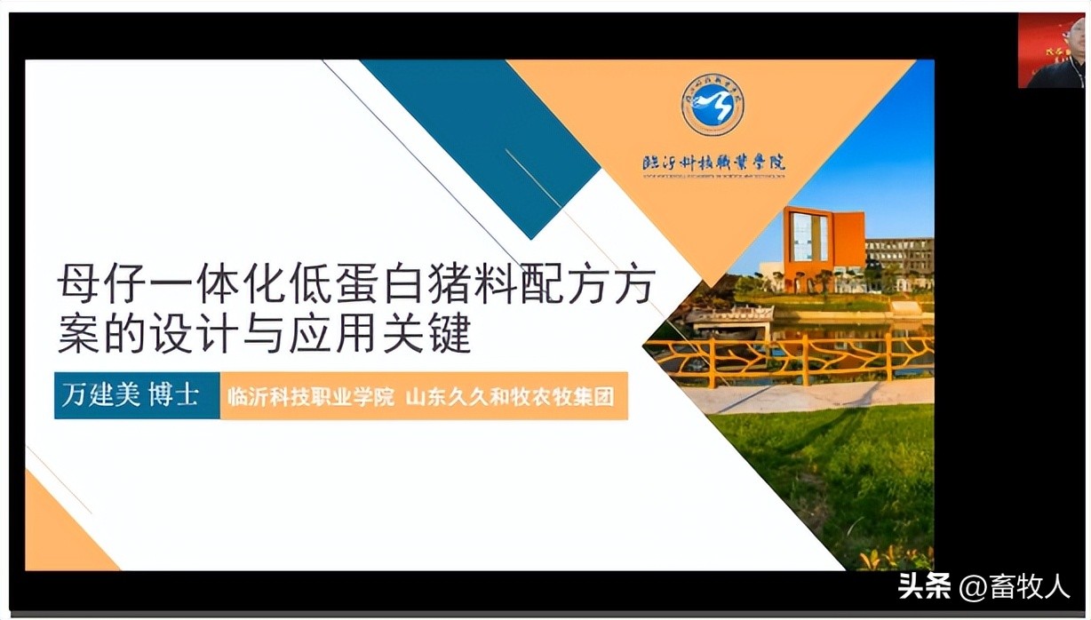 万建美博士:母仔一体化低蛋白猪料配方方案的设计与应用关键