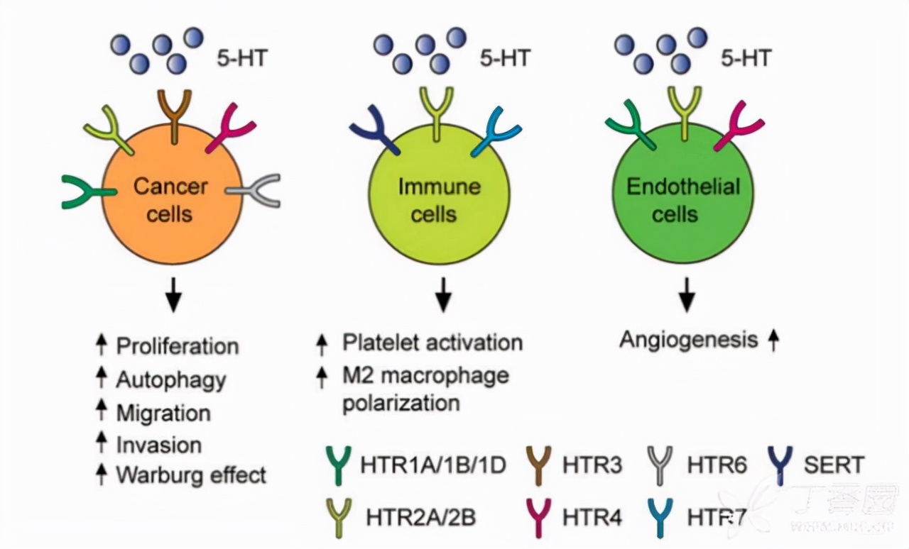 抑郁症攻克最新进展,抑郁症最新研究资讯