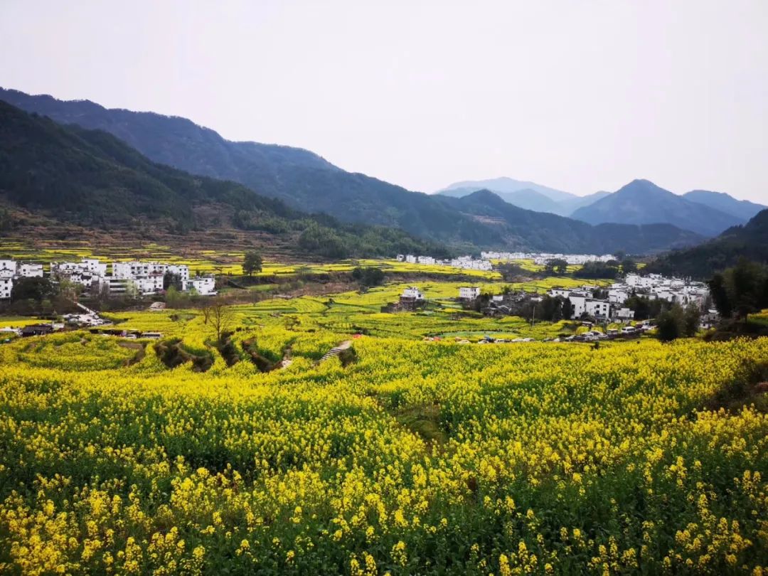 安徽省村庄规划编制指南,村庄规划编制主要内容