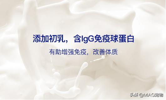 刚出生的小猫没有羊奶粉要喂什么,刚出生的小猫喂羊奶粉应该怎么喂