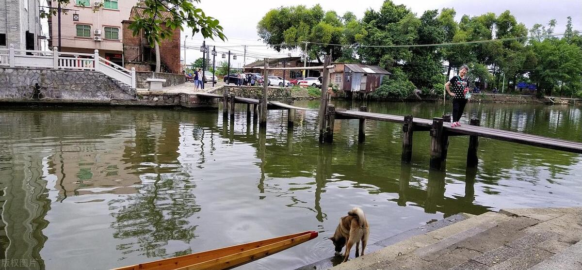 从广州佛山出发的旅游攻略,广州鹤山市旅游