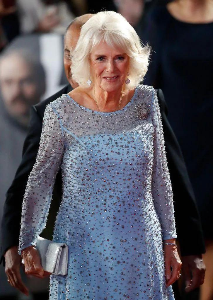 梵克雅宝双面黑白价格,梵克雅宝芭蕾舞胸针卡米拉