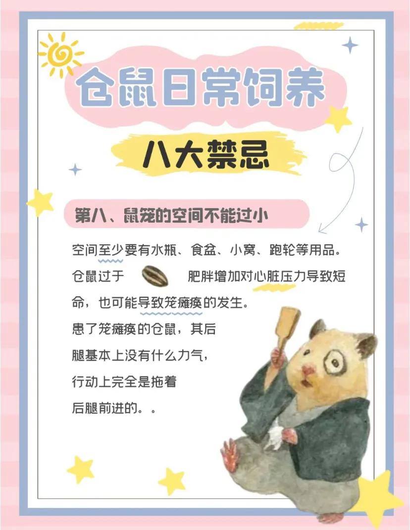 仓鼠忌讳,仓鼠大忌