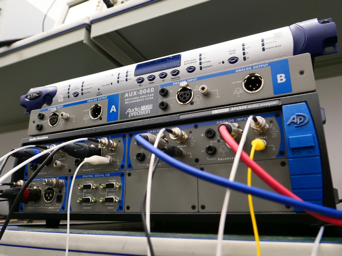 蓦然间,木已成林——探班深圳双木三林