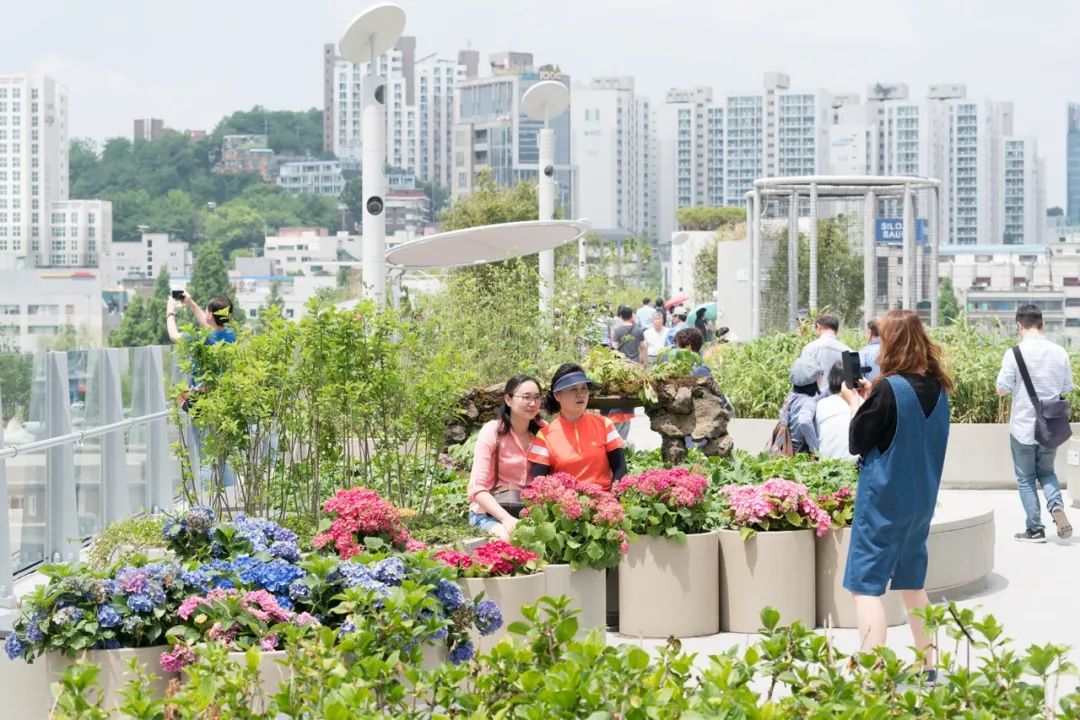 高颜值、高人气、高评价……4个值得关注的神改造