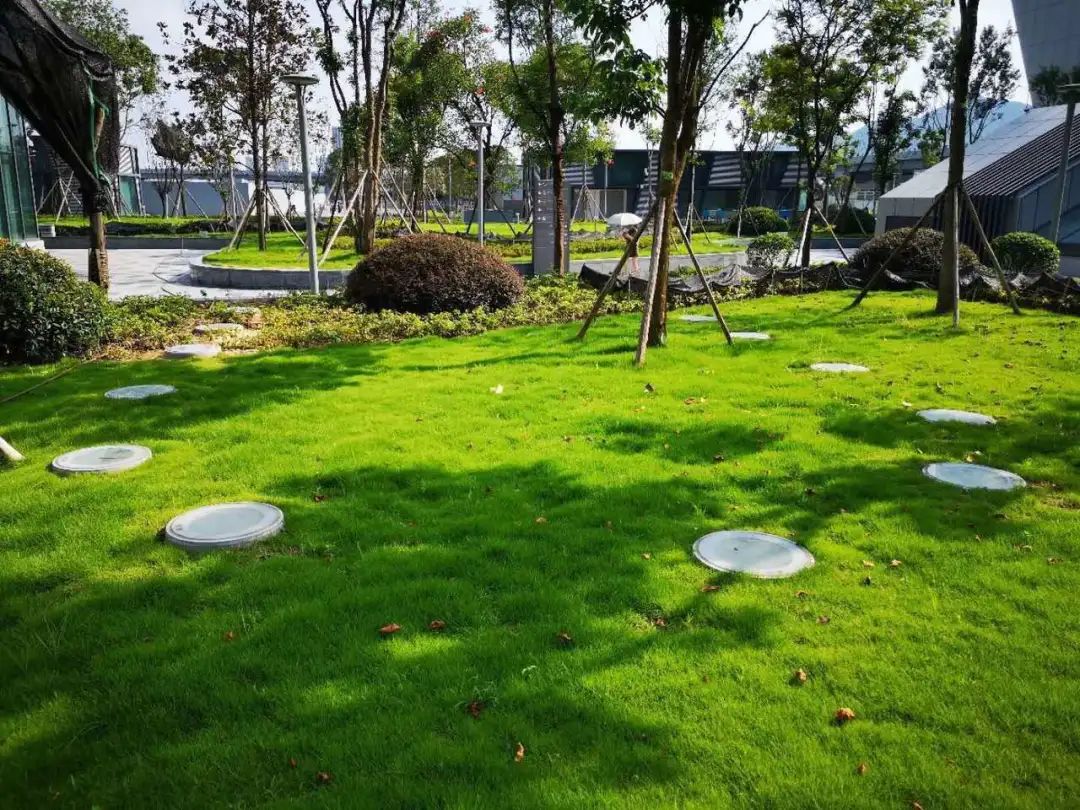 节能环保新能源,阳光新能源光伏发电产品性能