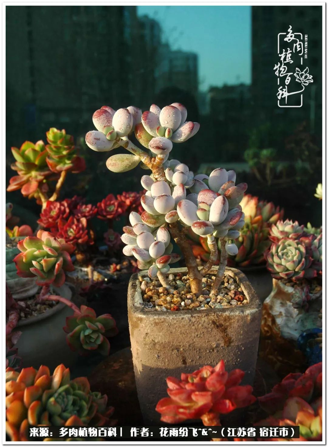 回味童年无忧无虑的快乐时光,童年最快乐的时光