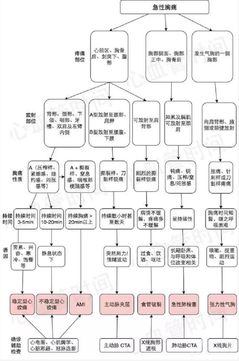 胸痛的应对知识技能培训,胸痛基础知识讲解视频