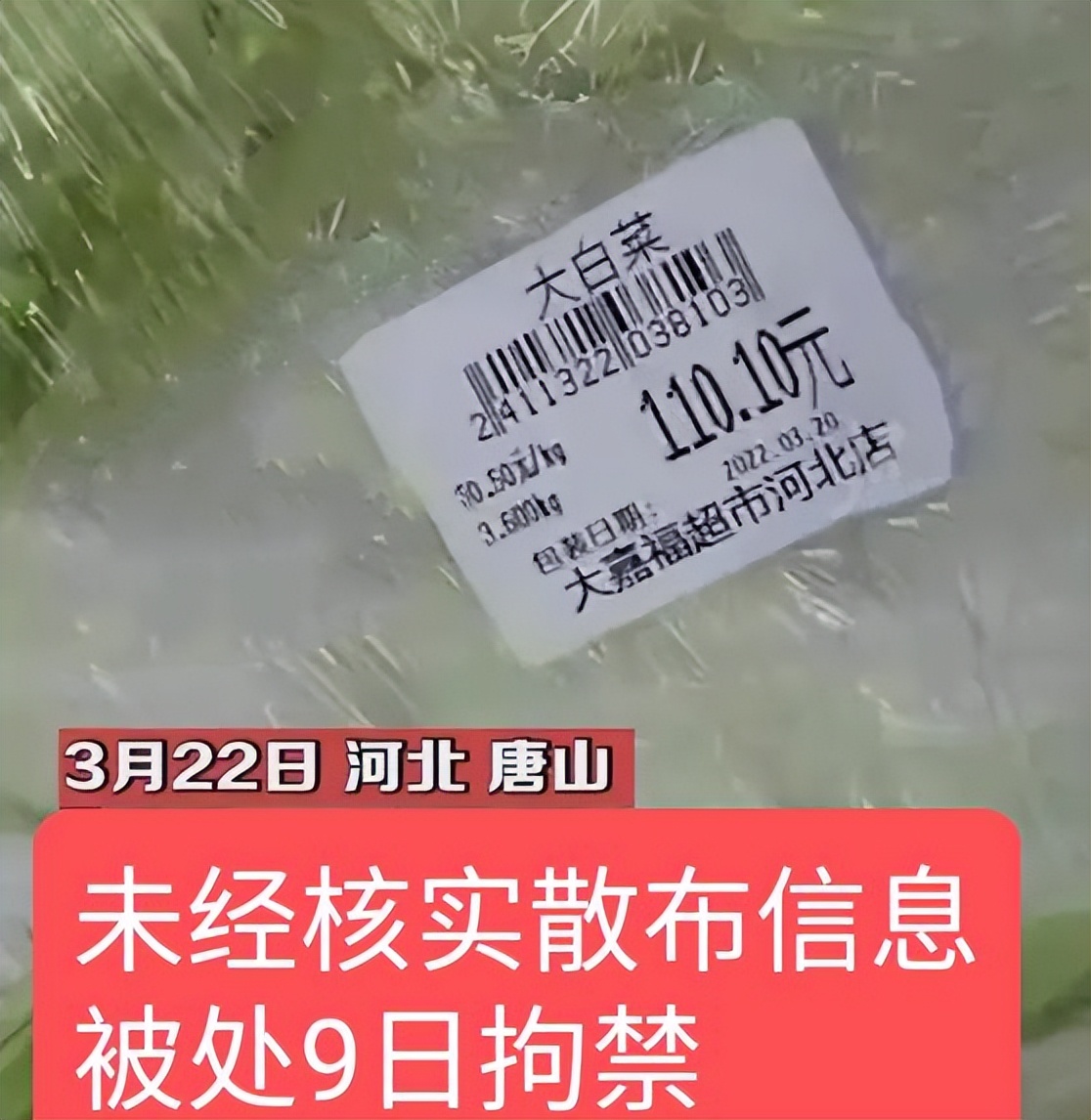 吉林一棵白菜卖63.9元,一棵白菜竟然卖出63元高价