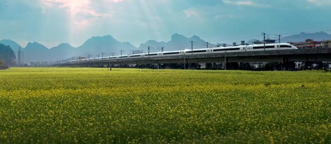 为什么叫乐清这个名字,为什么温州市有乐清市