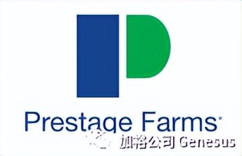 全球生猪养殖企业排名,世界十大牧业集团排名