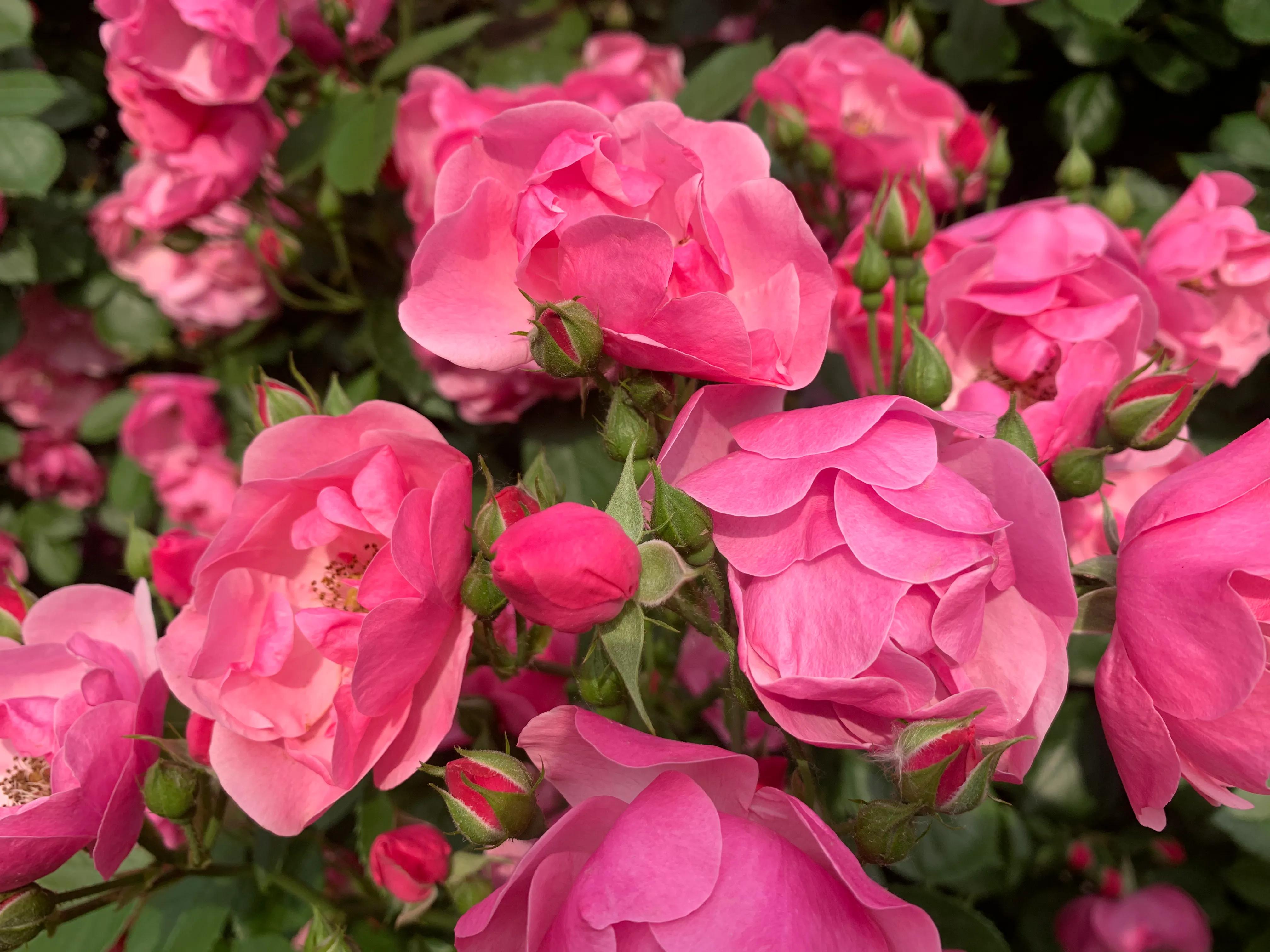父母要警惕自己对儿女的忌讳,父母知道对子女不好吗