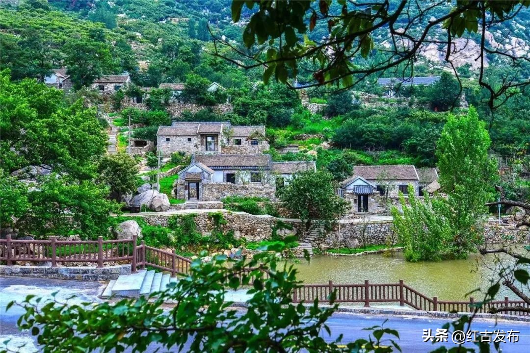 乡村振兴2023年最新热点,2023年乡村振兴必背知识点