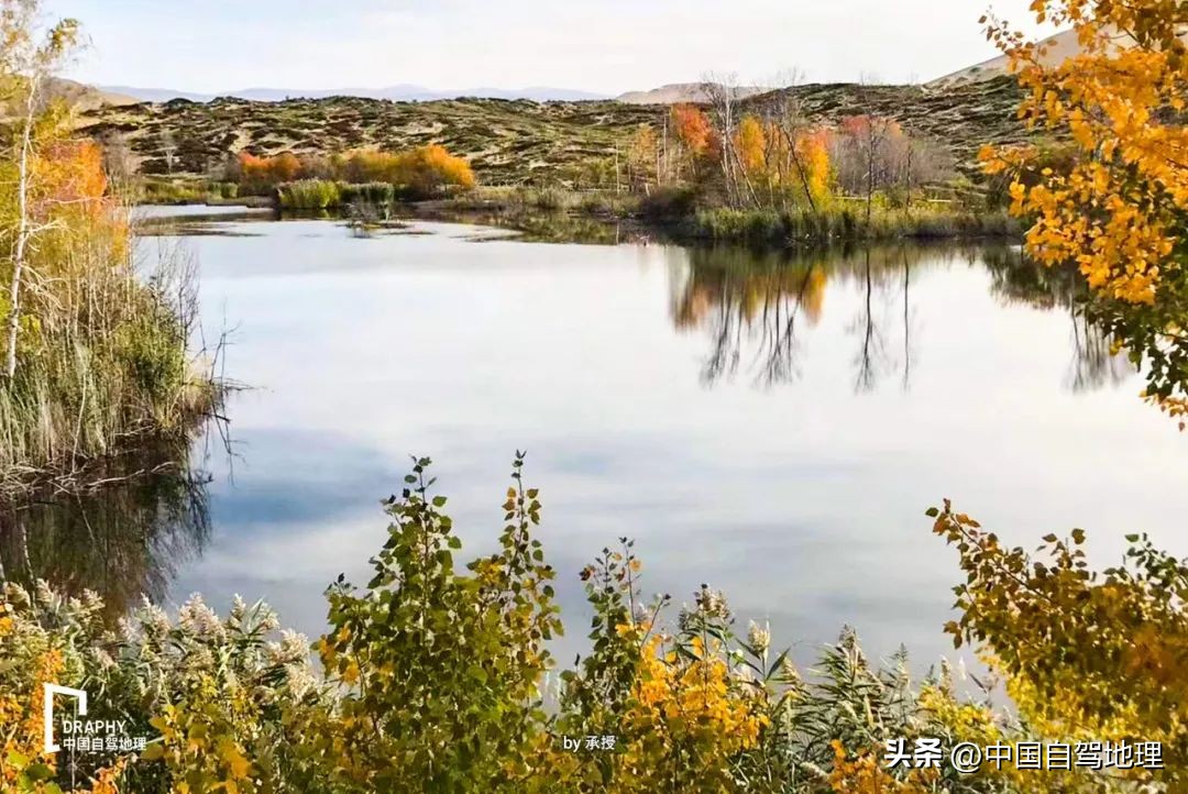 横跨中国北境的孤勇者之路，接力G219，荒芜与惊喜并存！