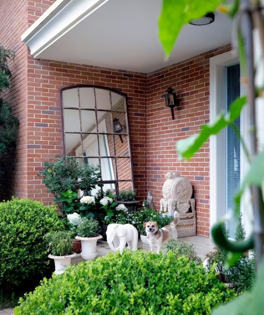 导演张静初和蒋雯丽,王家卫张静初蒋雯丽事件