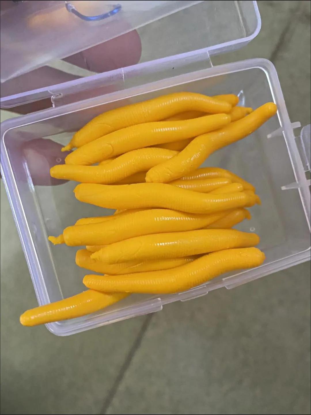 可以作为鱼饵的动植物有哪些,什么样的藻类植物可以做鱼饵