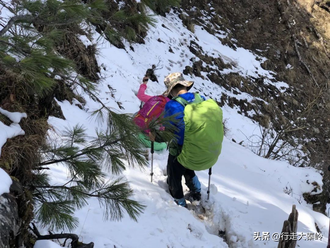 首阳山穿越大坪梁景色怎么样,大坪梁穿越到首阳山攻略
