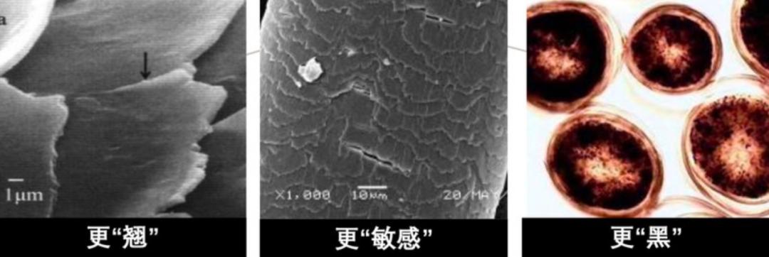 专访|一个多世纪后,欧莱雅还是那个“头发科学狂人”
