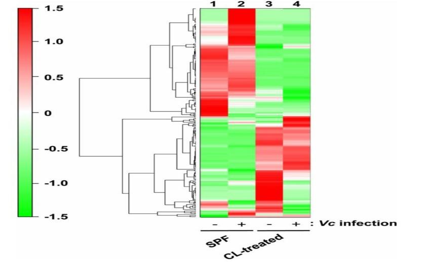 宠物狗容易出现的几种病况,宠物狗最容易得什么疾病