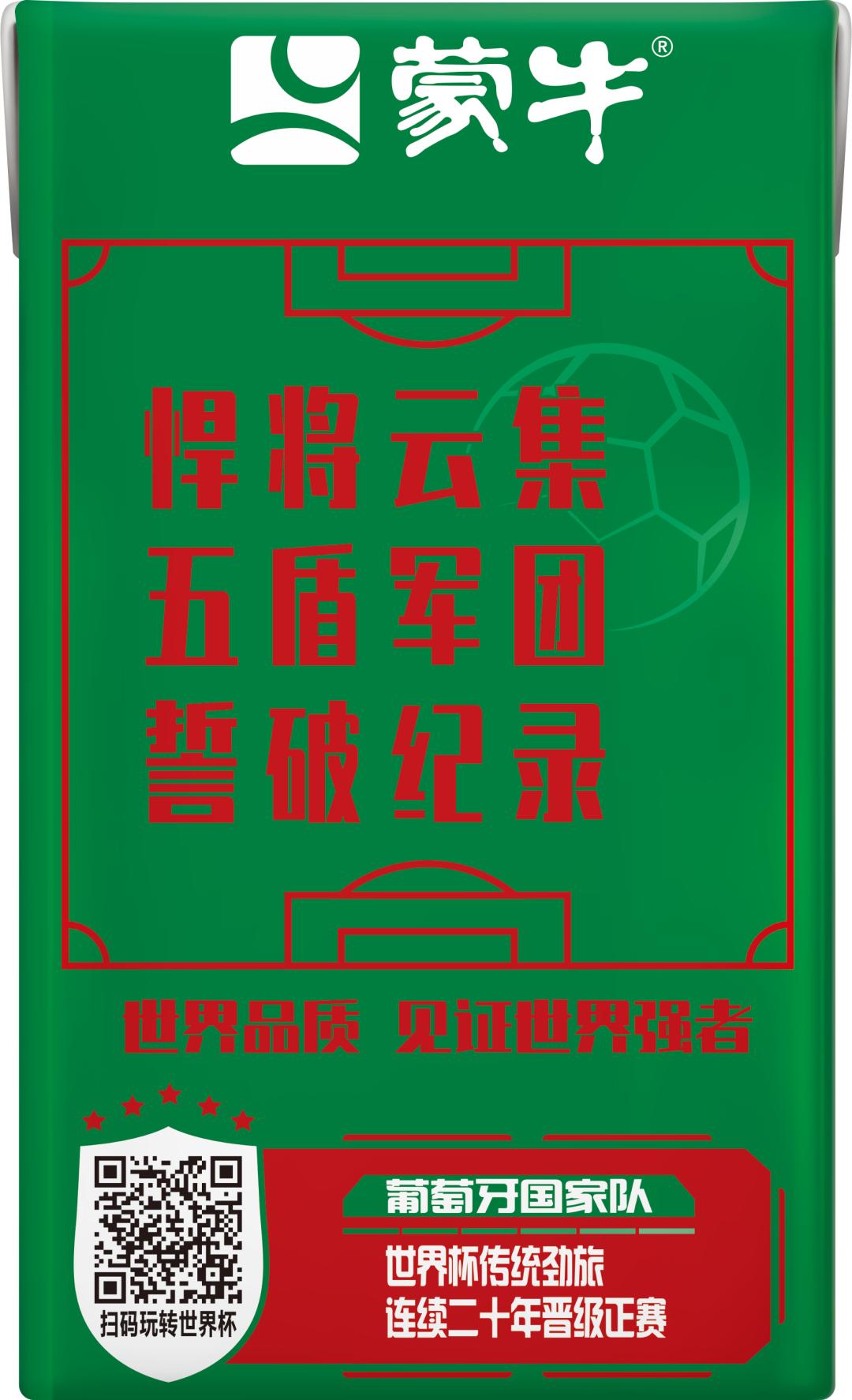 世界杯队长手记,世界杯队长纪录片葡萄牙