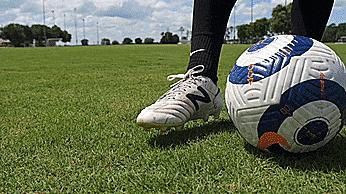 初学者必备十大技能有哪些,初学者必学的10个基础知识