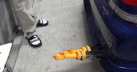 在搞鸡这方面，日本人可能是最专业的