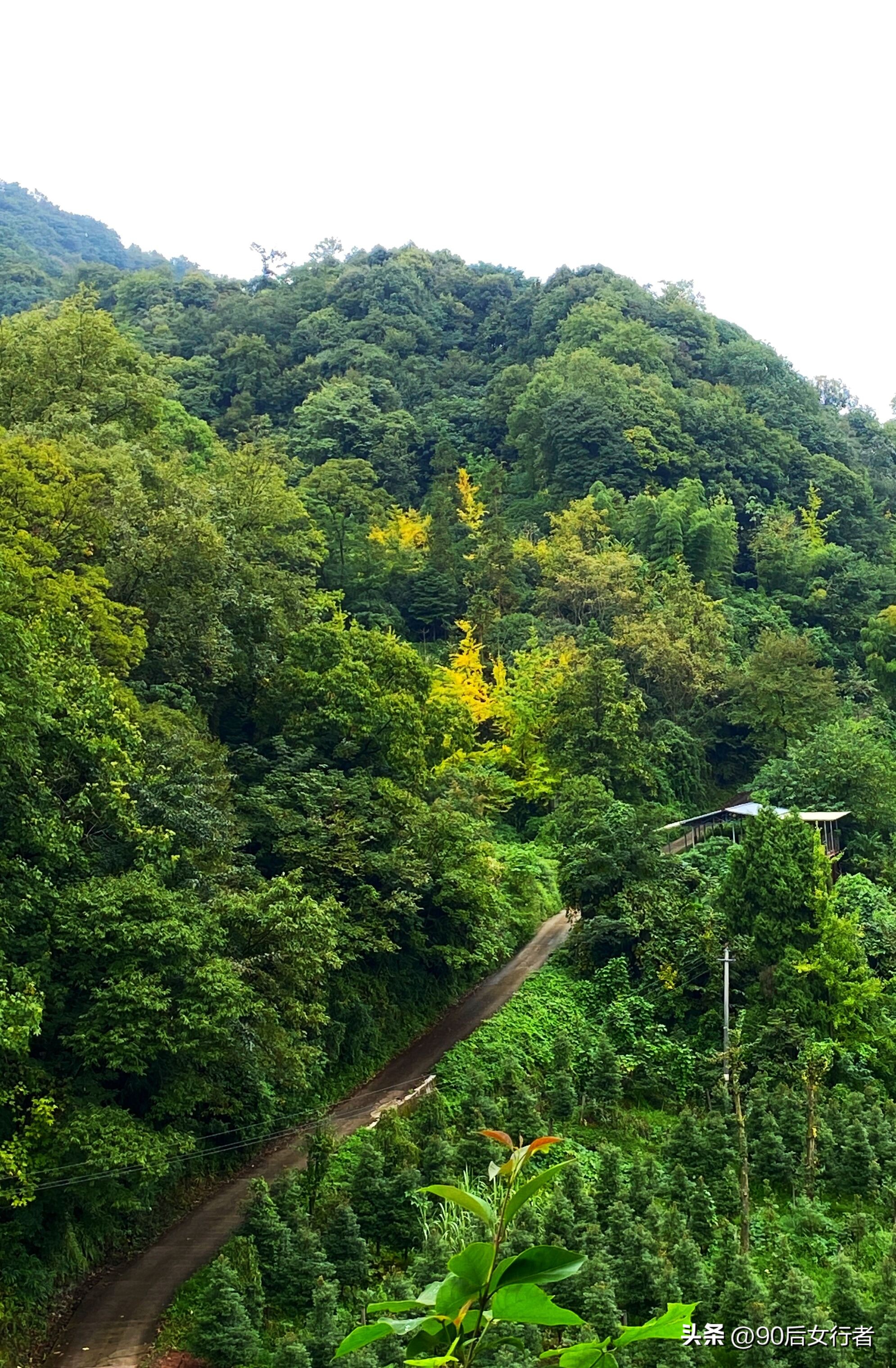 走进山间的小路感受大自然,成都深山老林旅游最好去处