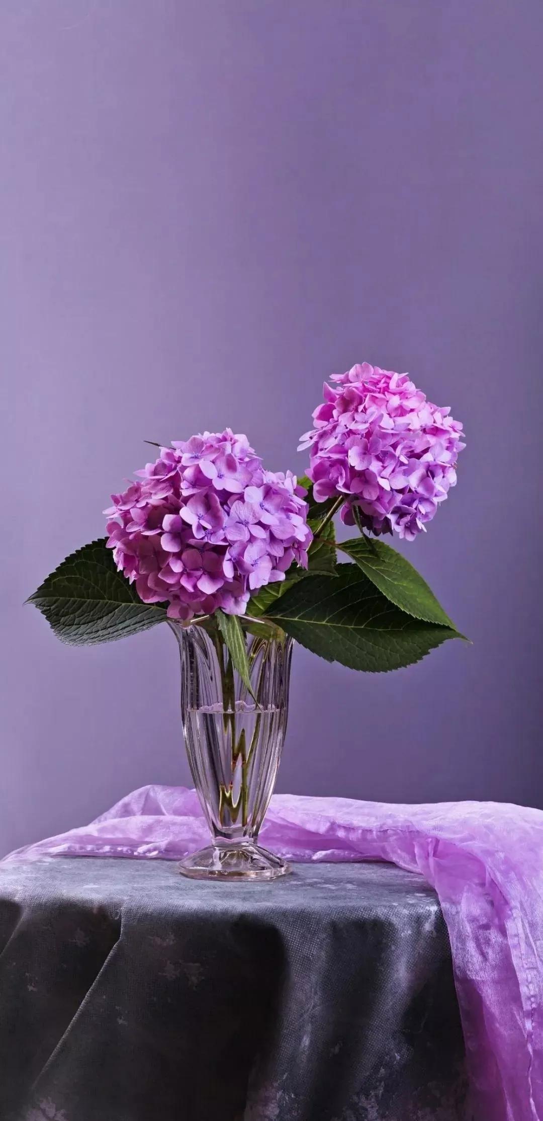 风生水起壁纸高清无水印,美女全屏无水印高清壁纸