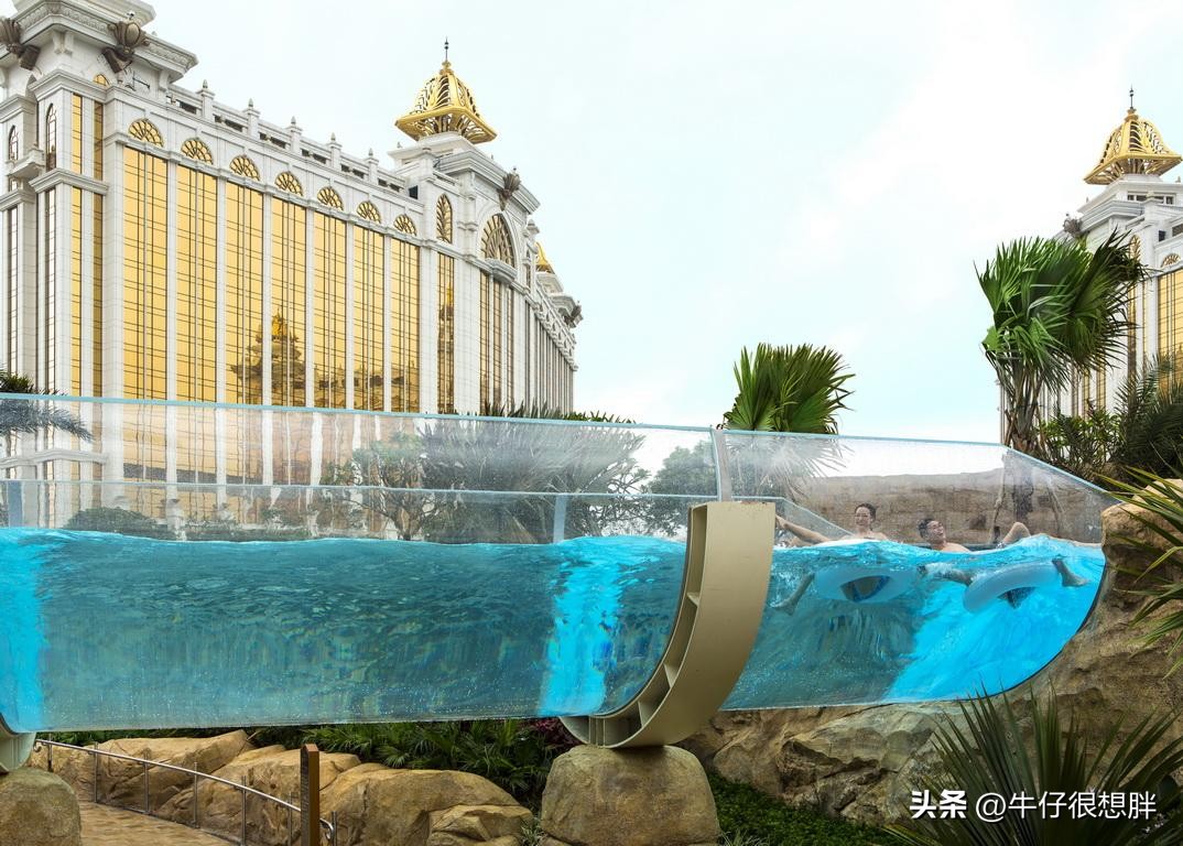 冬天澳门亲子遛娃,去澳门带着小孩逛哪里好玩