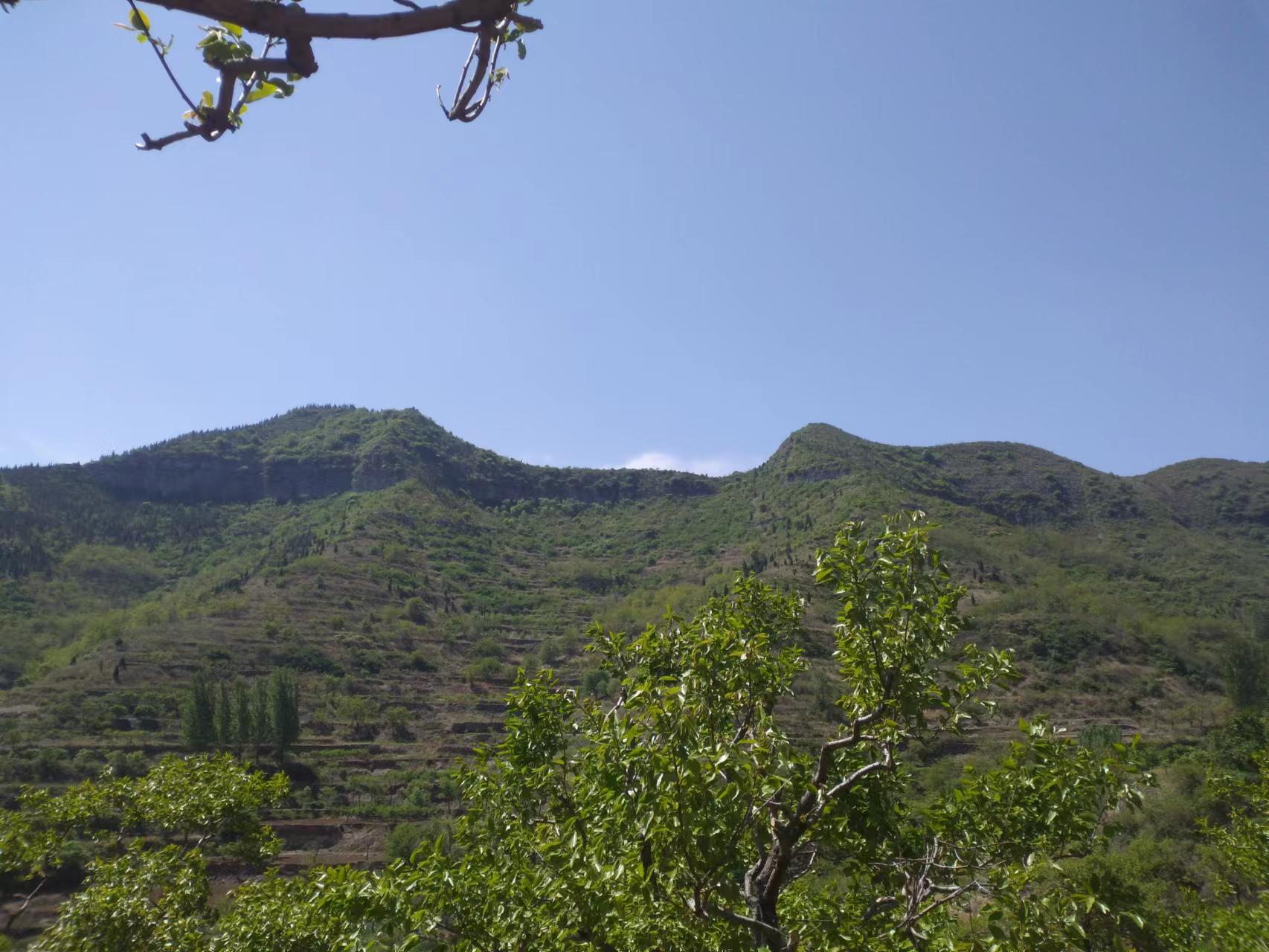 临朐自然美,临朐新美丽