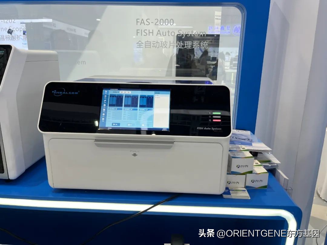 直击上海交易会展厅,直击上海车展