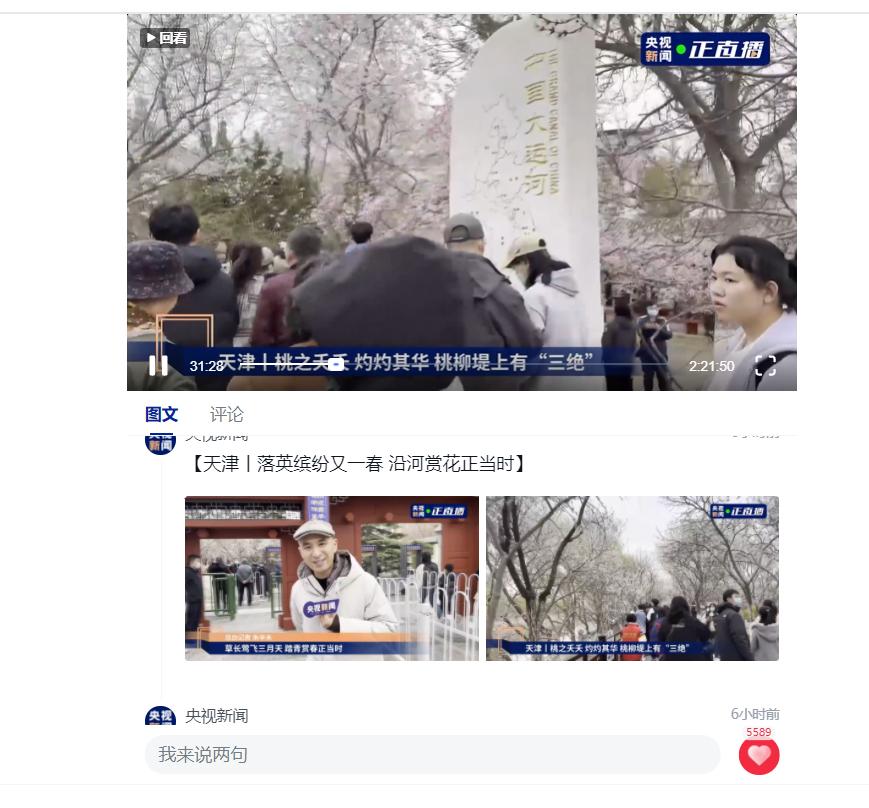 央视新闻直播:沿天津北运河畔,漫步布满落英的“桃花堤”
