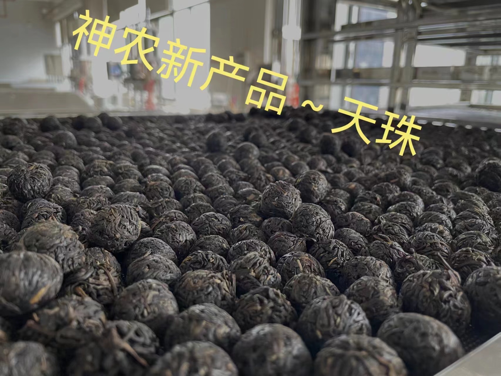 神农茶现泡茶,神农坛神农茶