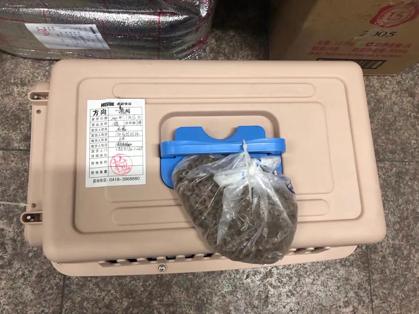 抗癌日记肿瘤,抗癌日记胰腺癌