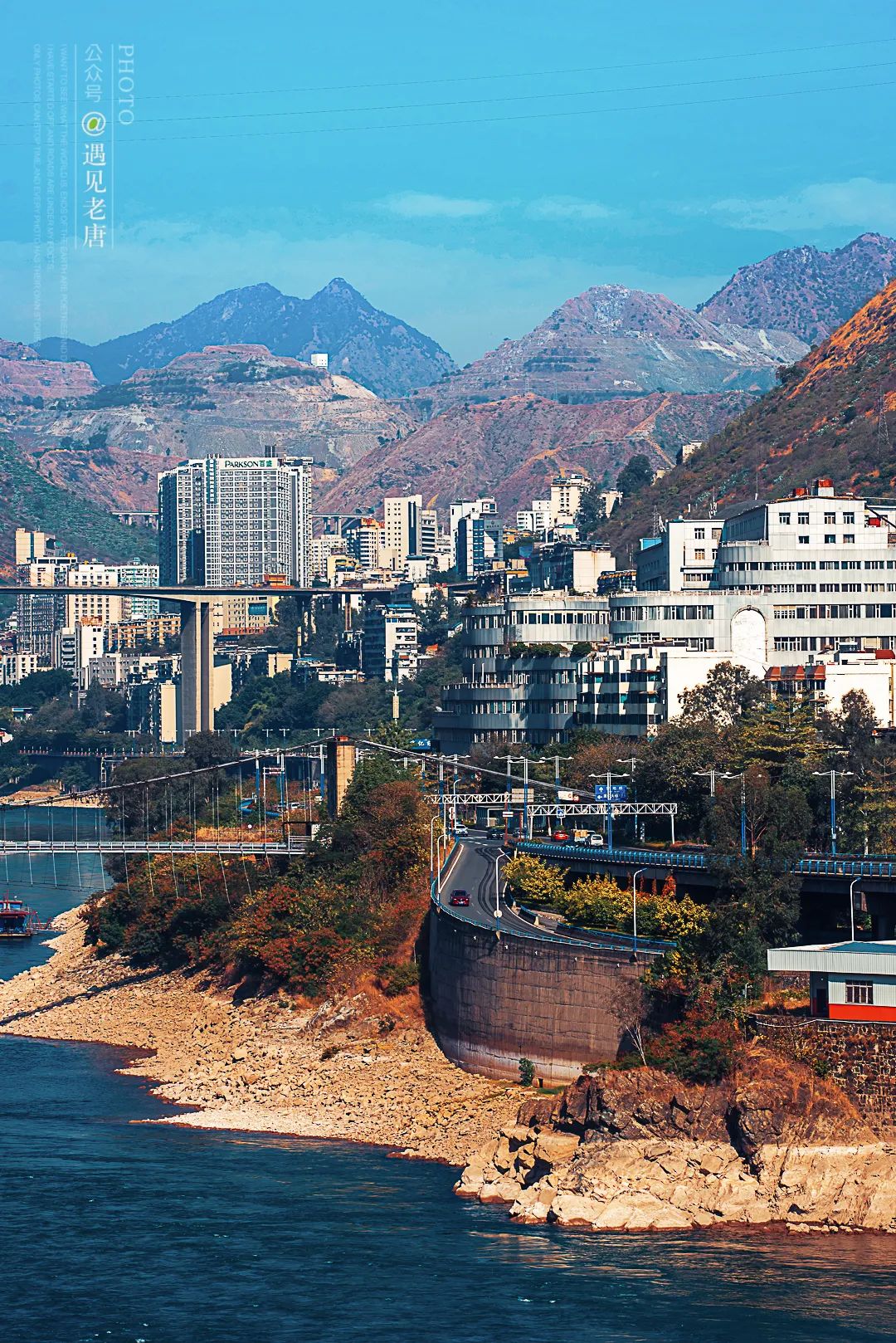 攀枝花是一种什么花,什么是攀枝花铁树