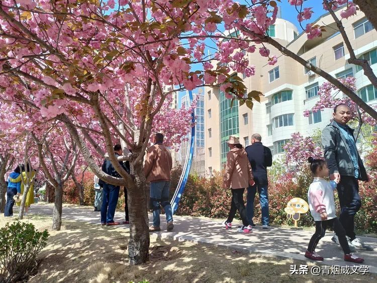 步蟾宫诗词,暮春谷雨的诗词