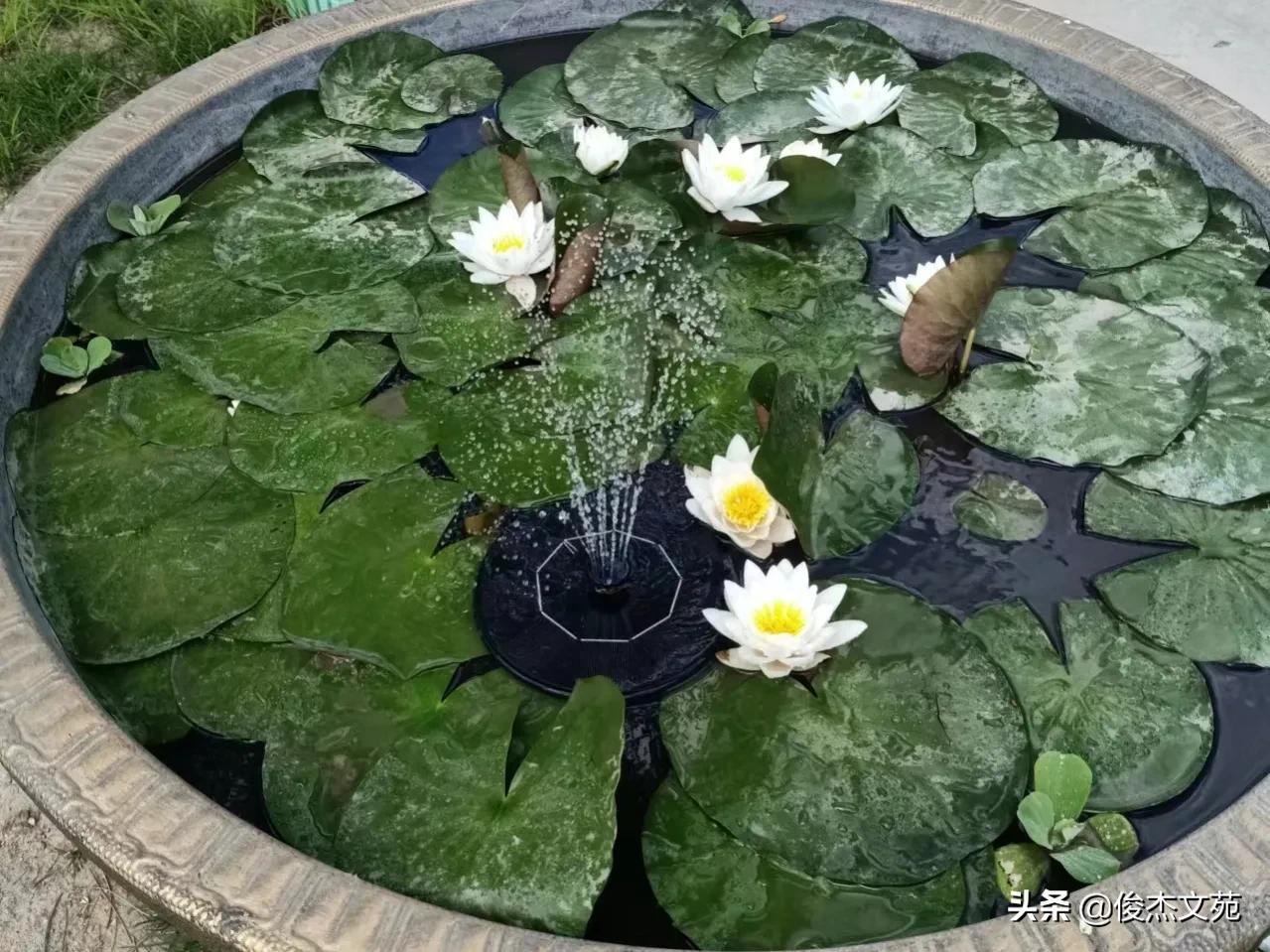 美丽的她,美丽的脚印图片