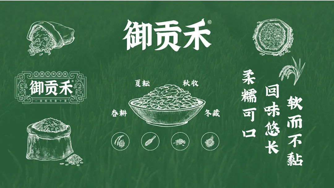 闀囨睙澶х背鍖呰璁捐,澶х背鍖呰璁捐娴欐睙