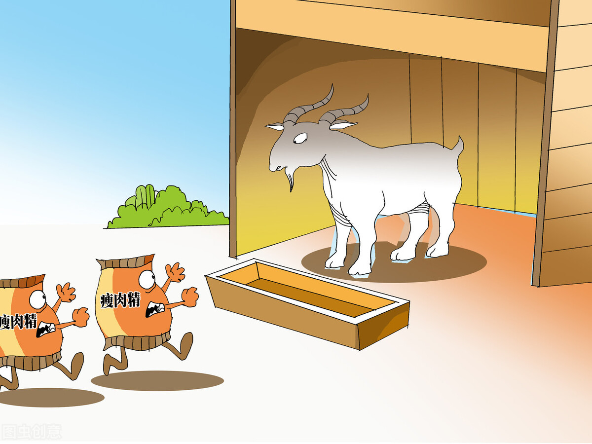 为什么瘦肉精难以控制,瘦肉精的防治措施