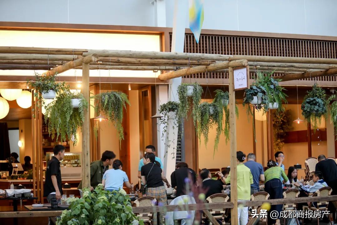 天府新区的商业布局,天府新区开业