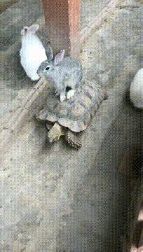 神回复最恶搞的话,被人骂不知羞耻的神回复