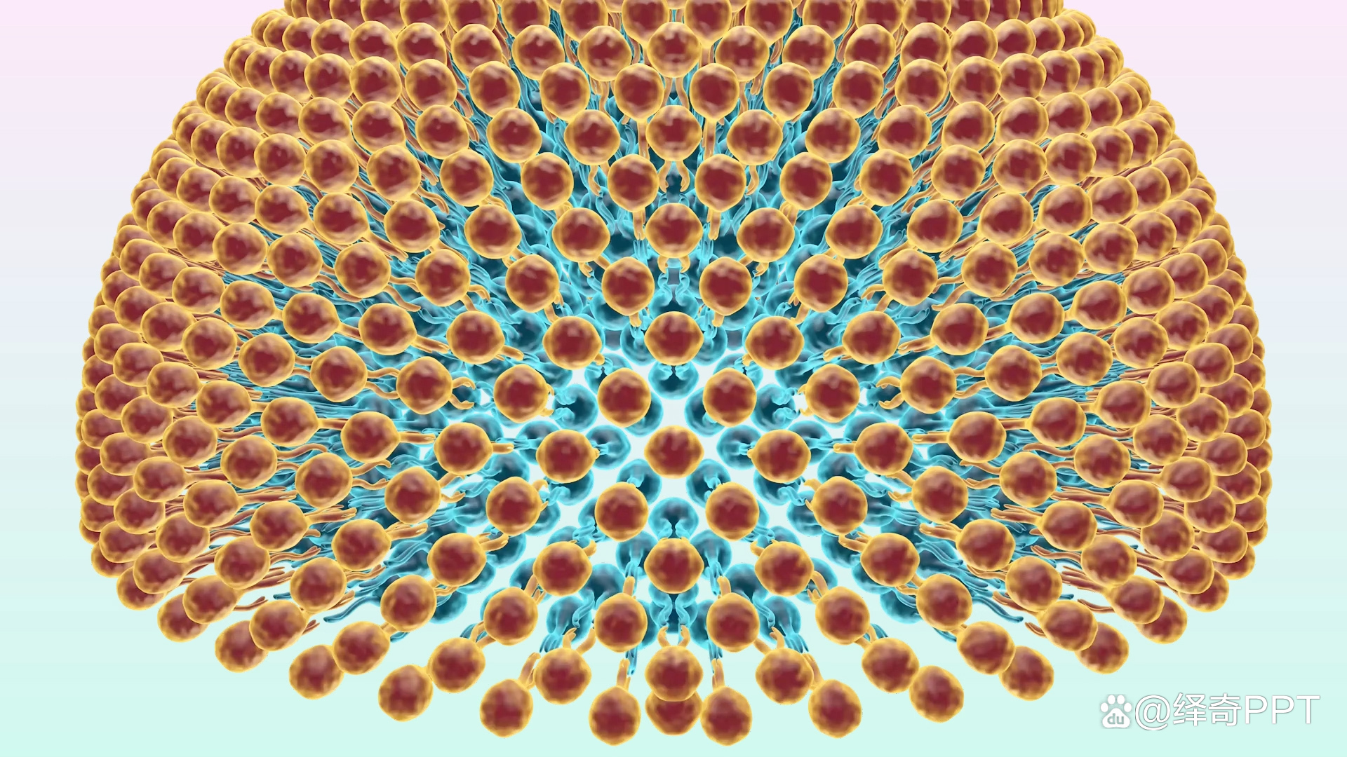 科学技术奖申报ppt,科技进步奖申报ppt