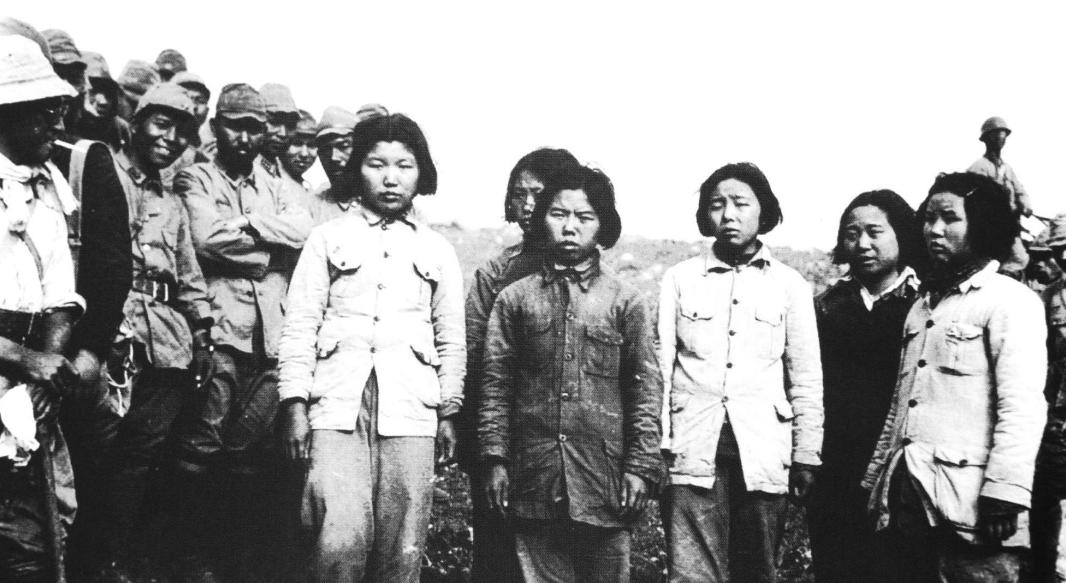 为什么日本人要杂交胚胎实验,日本人的杂交实验成功了吗